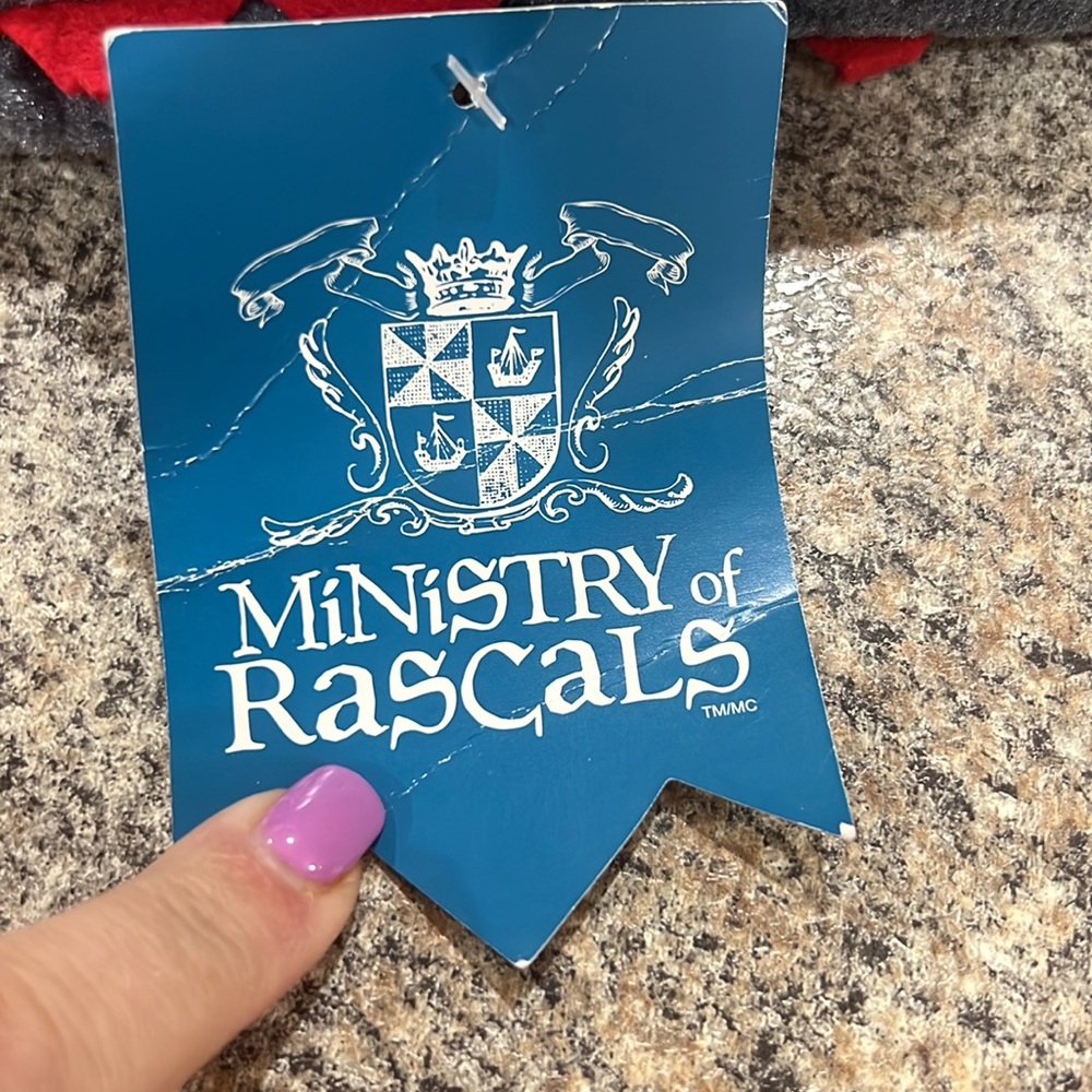 Ministry of Rascal dragon costume size 2T - Picture 11 of 15